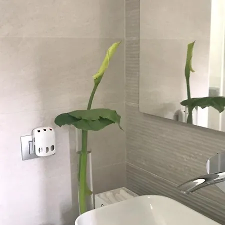 Apartment Apartment Via Scuto Catania